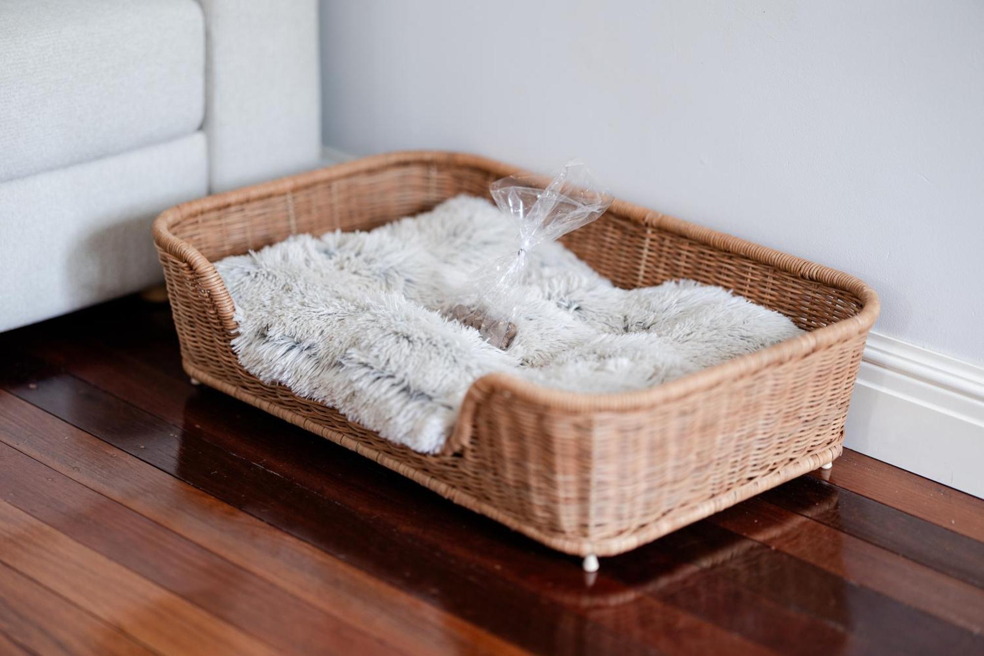 Cottage On Lamington Canungra Екстериор снимка
